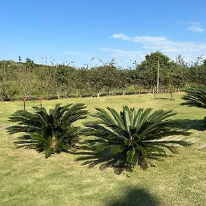 Do Campeche , Florianópolis Brasil